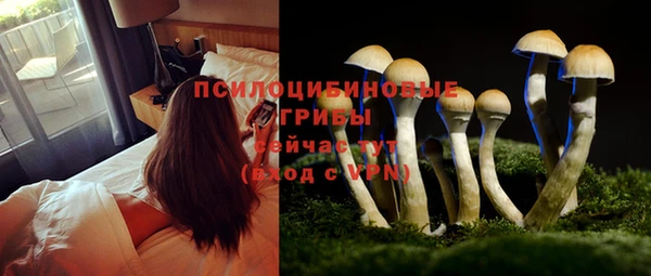 PSILOCYBIN Богородск