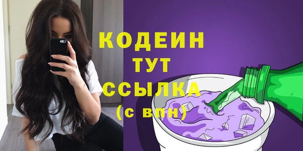 спиды Богданович