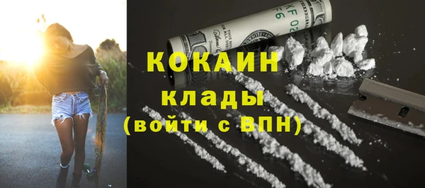 спиды Богданович
