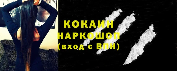 спиды Богданович
