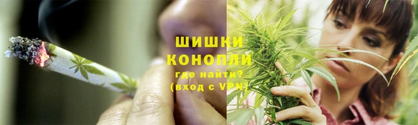 PSILOCYBIN Богородск