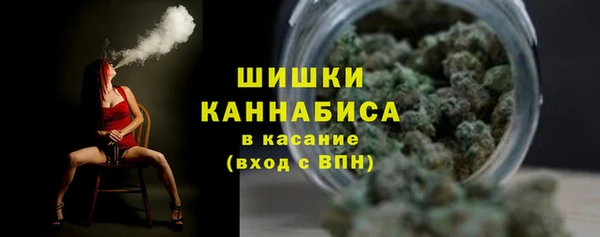 спиды Богданович