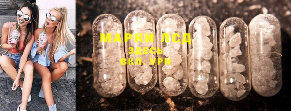 спиды Богданович