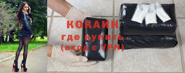 спиды Богданович
