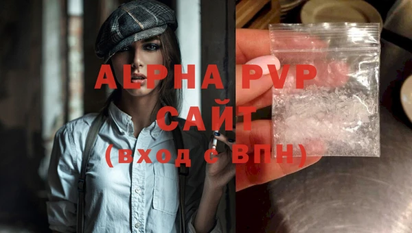 спиды Богданович