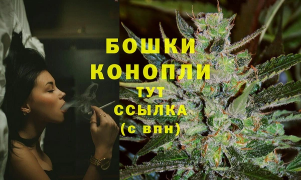 спиды Богданович