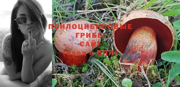 PSILOCYBIN Богородск